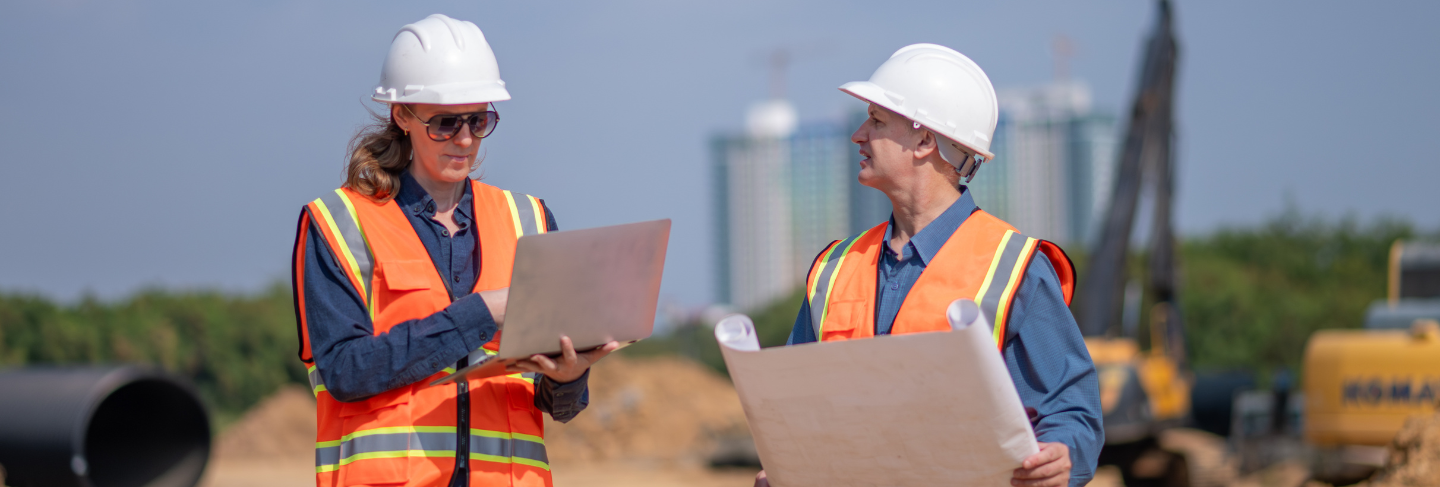 Provision of Expatriate Professional Staff